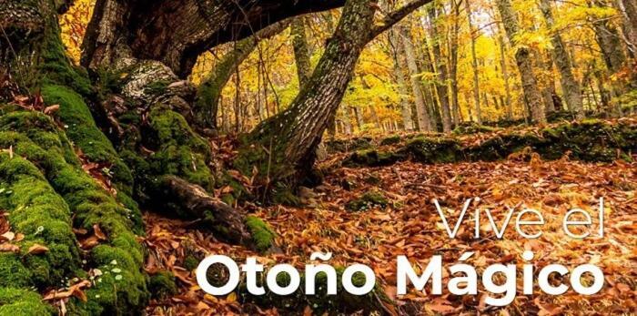 Turistico Navalinda Apartamento Casas del Monte
